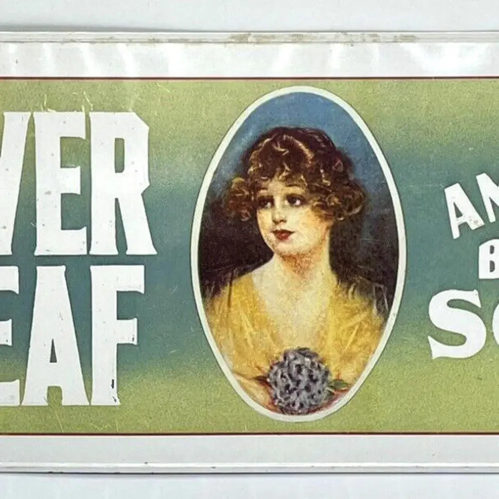 Borax Soap Metal Advertising Sign Embossed Clover Leaf 19 x 7 Vintage 1974
